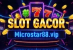 slot gacor microstar88.vip